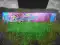 50cm Colour Sparklers(uv)